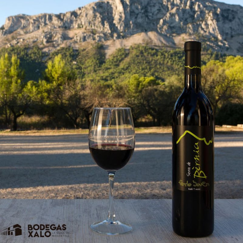Alicante Enoturismo y Catas de Vino